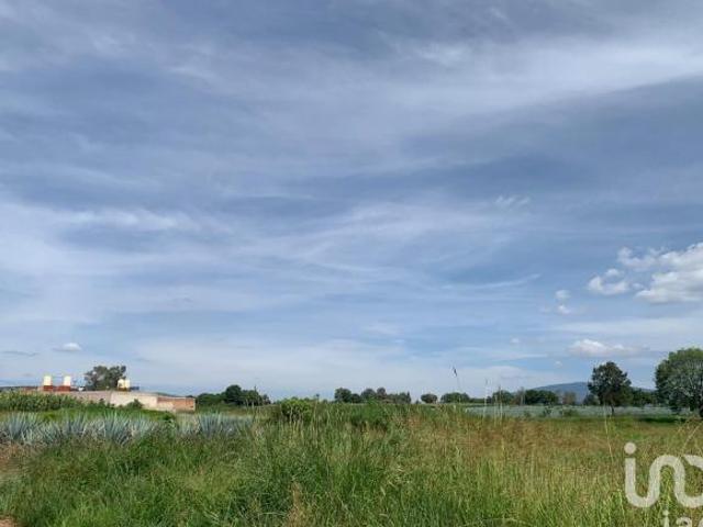 Venta Terreno Campestre en Predio La Loma, Tepatitlán de Morelos, Jalisco