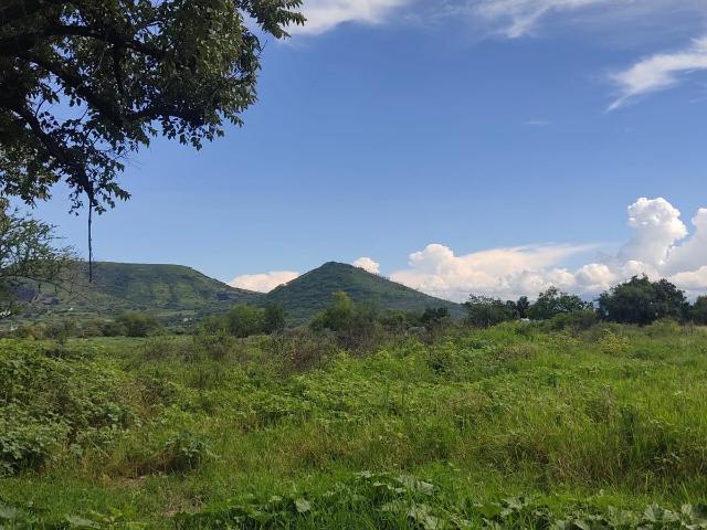 Venta Terreno Campo Tecalpa, Atlacholoaya, Morelos $18,190,000.00 VENTAreno
