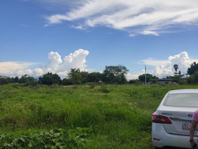 Venta Terreno Campo Tecalpa, Atlacholoaya, Morelos $18,190,000.00 VENTAreno