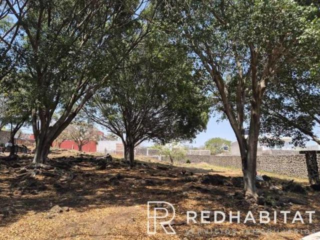VENTA TERRENO CARRETERA XOCHIMILCO OAXTEPEC TLAYACAPAN MORELOS, PUEBLO MÁGICO