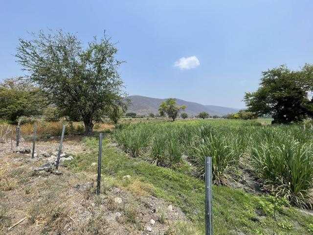 Venta terreno carretera Yautepec Jojutla, Tlaltizap?n, Morelos $42,000,000.00