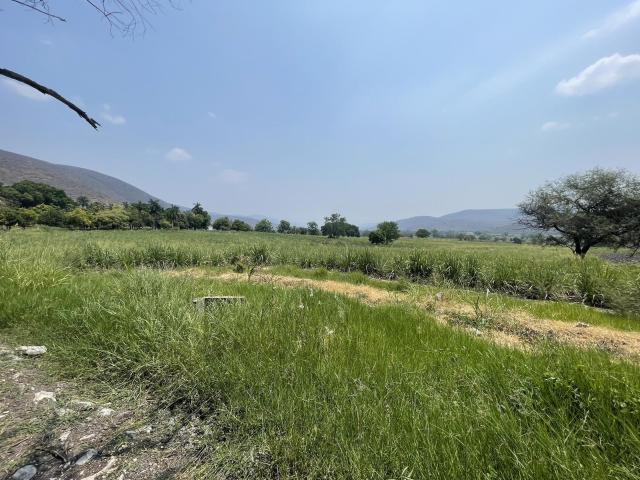 Venta terreno carretera Yautepec Jojutla, Tlaltizap?n, Morelos $42,000,000.00