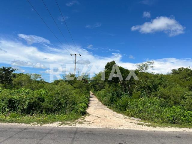 Venta Terreno Chuburna Puerto 4ta fila entrada Jurel a 3 km Chuburna Puerto, Yuc