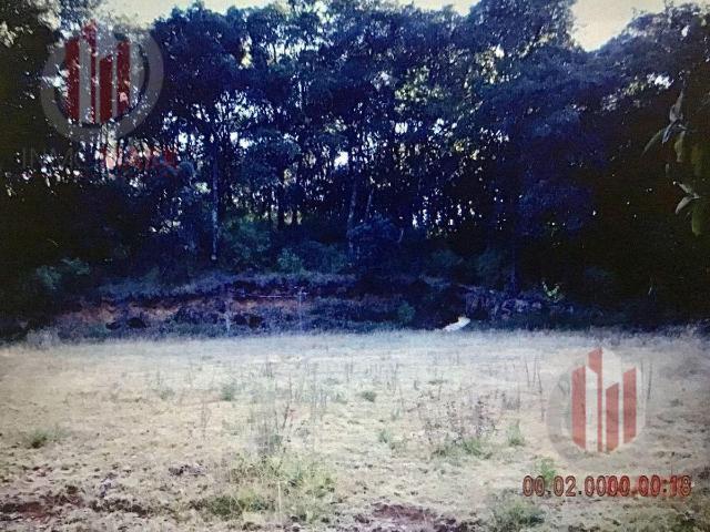 Venta Terreno Colonia Progreso Industrial Nicol?s Romero