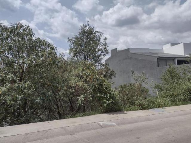 Venta Terreno de Calle a Calle en Bosque Real
