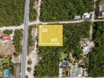 Venta Terreno de uso Mixto en Canc?n