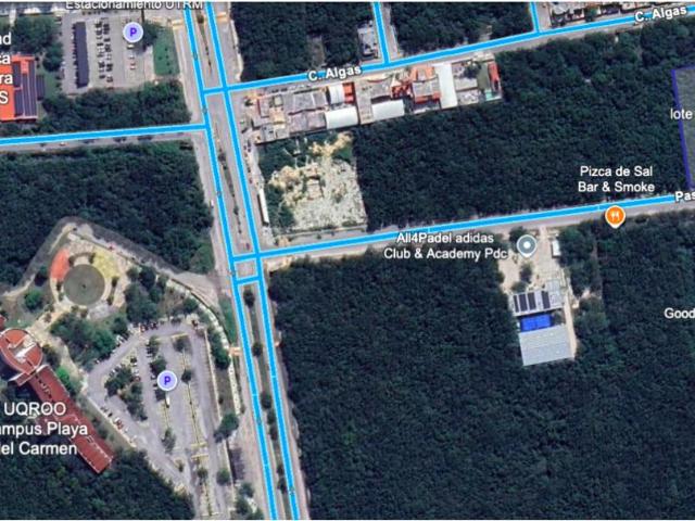 venta terreno de 3,990m2 uso mixto comercial sobre Avenida Paseo del Mayab