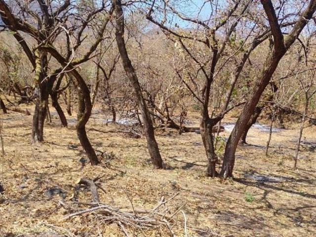 VENTA TERRENO ECONOMICO EN TEPOZTLAN MORELOS