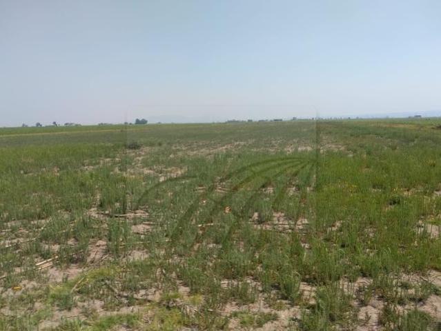 Venta Terreno Ejidal en Villa Seca, Otzolotepec, Estado de Mexico