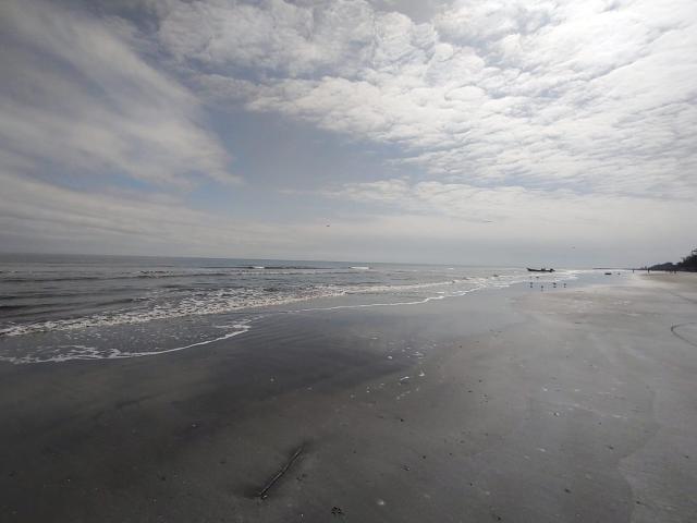 Venta Terreno en Mata de Uva Alvarado, Ver. Cerca de la playa
