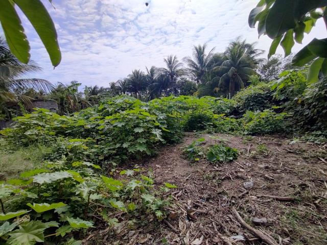 Venta Terreno en Mata de Uva Alvarado, Ver. Cerca de la playa