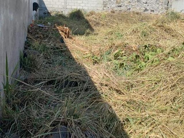 Venta Terreno en Burgos Bugambilias Corinto