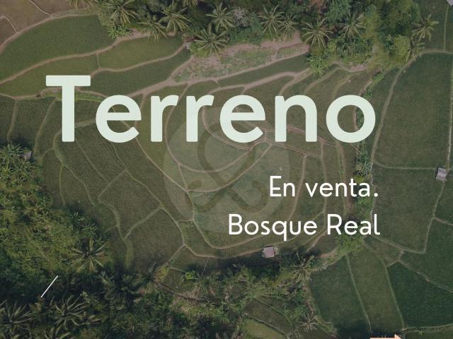 Venta terreno en bosque real