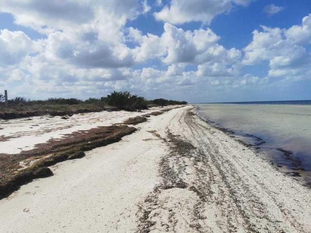 VENTA TERRENO EN DZILAM DE BRAVO, YUCATAN