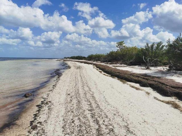 VENTA TERRENO EN DZILAM DE BRAVO, YUCATAN