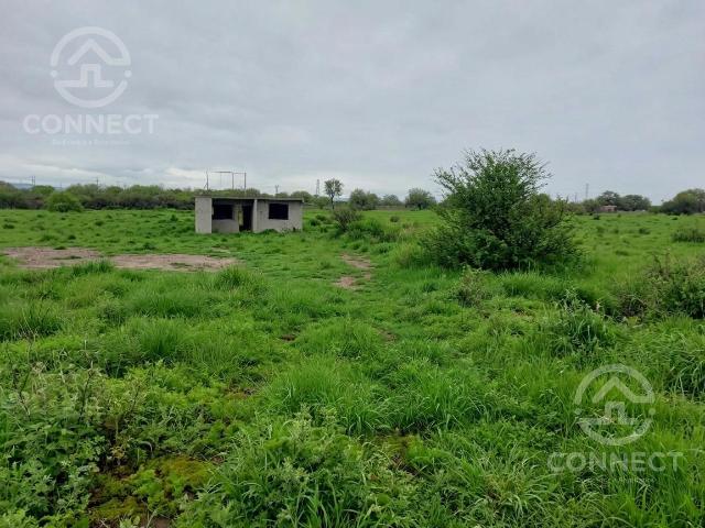 VENTA TERRENO EN EL MEZQUITILLO ENTRE SAN FRANCISCO Y PURISIMA DEL RINC?N GUANAJUATO!