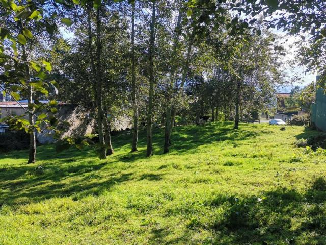 VENTA Terreno en el bosque, muy cerca de La Joya