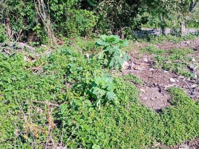 VENTA TERRENO EN ESQUINA, TEQUESQUITENGO MORELOS
