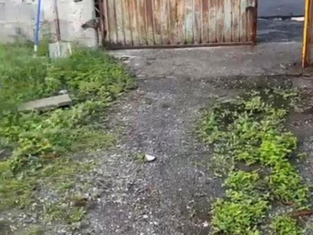 Venta Terreno en Fracc Bernardo Reyes