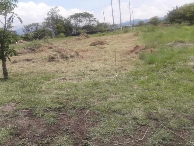 VENTA TERRENO EN FRACCIONAMIENTO PRIVADO TLAYACAPAN, MORELOS