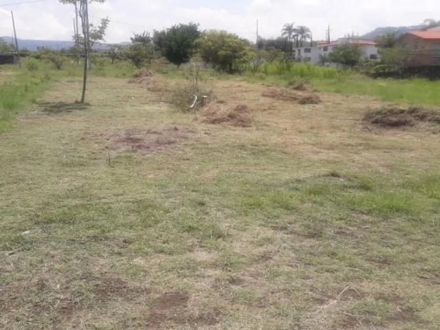 VENTA TERRENO EN FRACCIONAMIENTO PRIVADO TLAYACAPAN, MORELOS