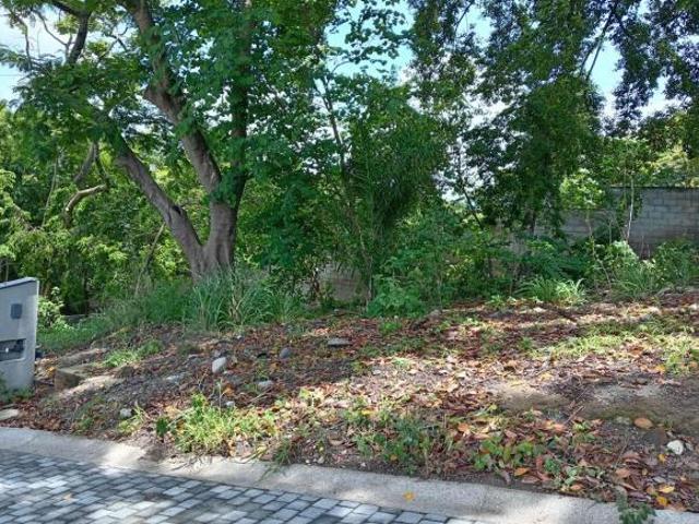 VENTA TERRENO EN FRACCIONAMIENTO RESIDENCIAL, COL. ACAPATZINGO CUERNAVACA MORELOS