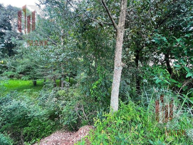 Venta Terreno en Jilotzingo