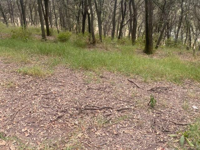 Venta Terreno en Jilotzingo, Oportunidad!