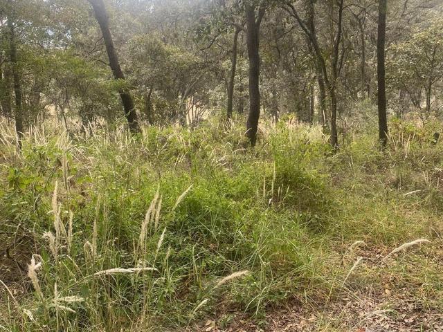Venta Terreno en Jilotzingo, Oportunidad!