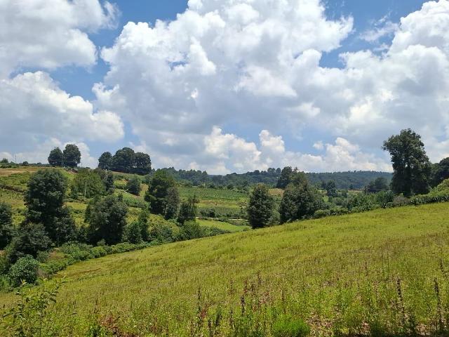 VENTA TERRENO EN LA ESPERANZA, VILLA DEL CARB?N
