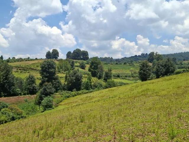 VENTA TERRENO EN LA ESPERANZA, VILLA DEL CARBÓN