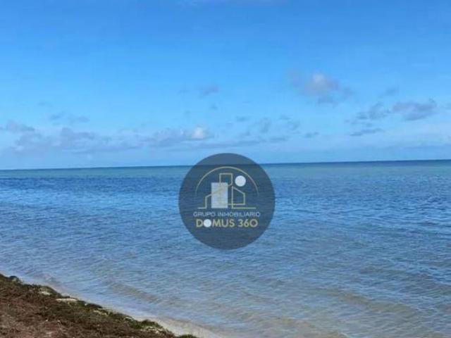 VENTA TERRENO EN LA PLAYA DE CHABIHAU YOBAIN YUCATAN