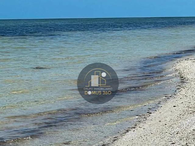 VENTA TERRENO EN LA PLAYA DE CHABIHAU YOBAIN YUCATAN