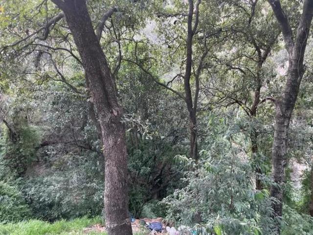 VENTA TERRENO en SAN FERNANDO, INMEDIATO A GRANJAS NAVIDAD