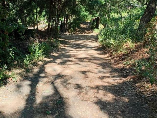 VENTA TERRENO EN SANTA MARIA AHUACATITLAN CUERNAVACA