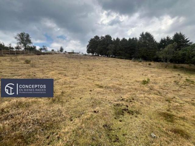 Venta Terreno en Transfiguracion, Nicolas Romero