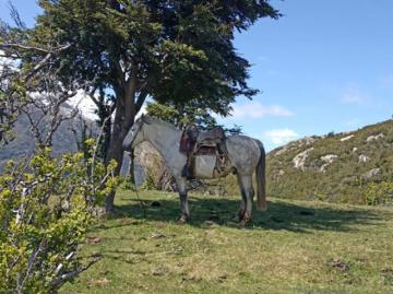 Futaleufú, Provincia de Palena, Región de Los Lagos