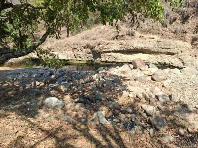 VENTA TERRENO FRACCIONAMIENTO CAMPESTRE LOTE 95, MZN VI