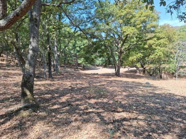 VENTA TERRENO FRACCIONAMIENTO CAMPESTRE LOTE 112, MZN VI