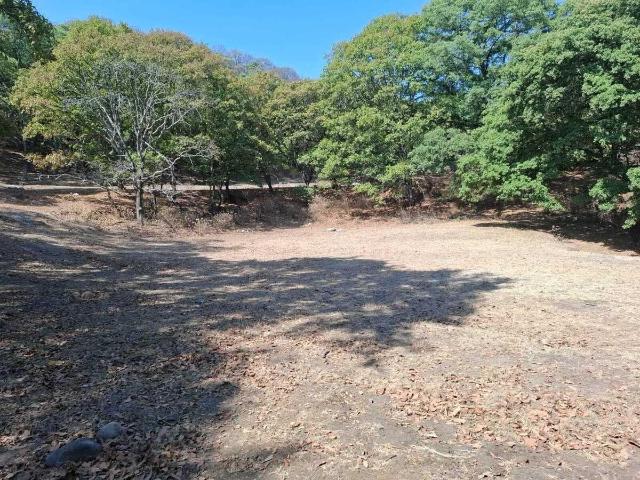 VENTA TERRENO FRACCIONAMIENTO CAMPESTRE LOTE 112, MZN VI