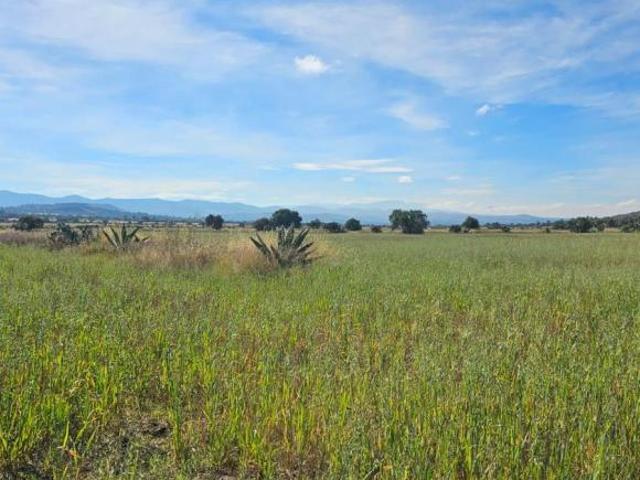 Venta Terreno Industrial Tepetzingo Nopaltepec Estado de México, de 100000 m²