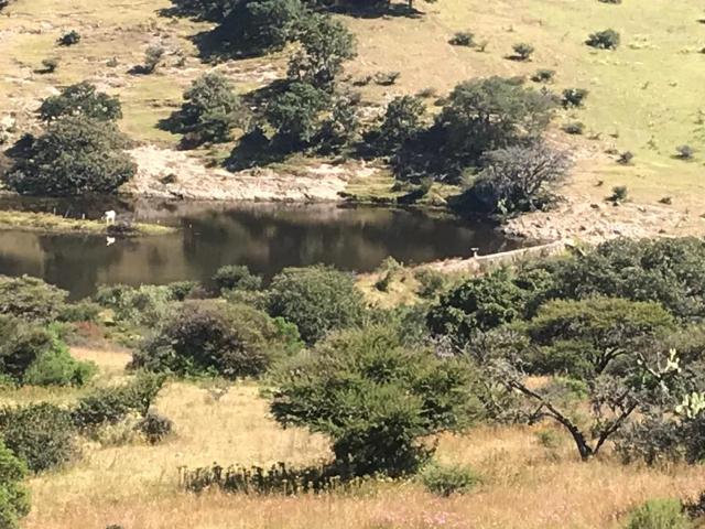 Venta Terreno, Jilotepec de Molina Enr?quez