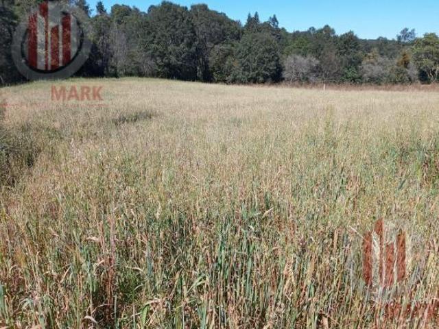 Venta Terreno Jilotzingo