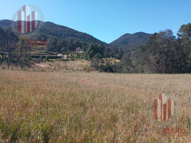Venta Terreno Jilotzingo