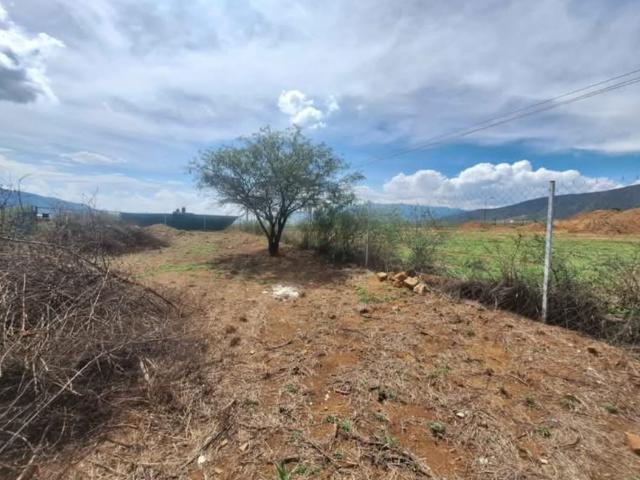 VENTA TERRENO LA PILITA, SAN FRANCISCO LACHIGOLÓ. OAXACA