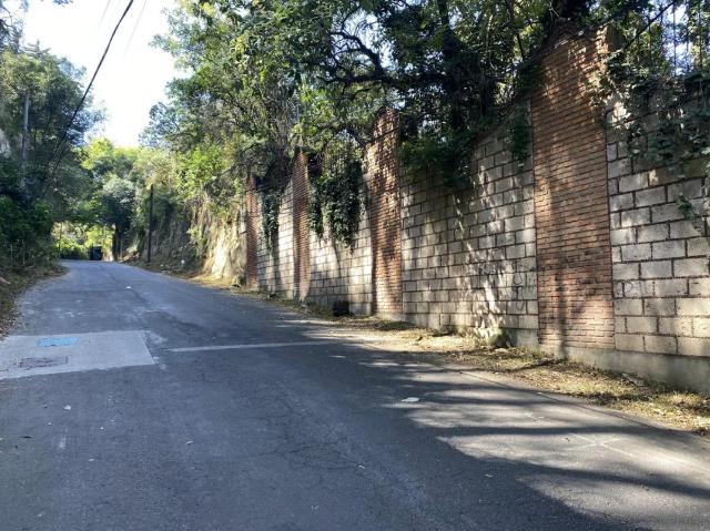 VENTA TERRENO LOMA DE TLAPEXCO