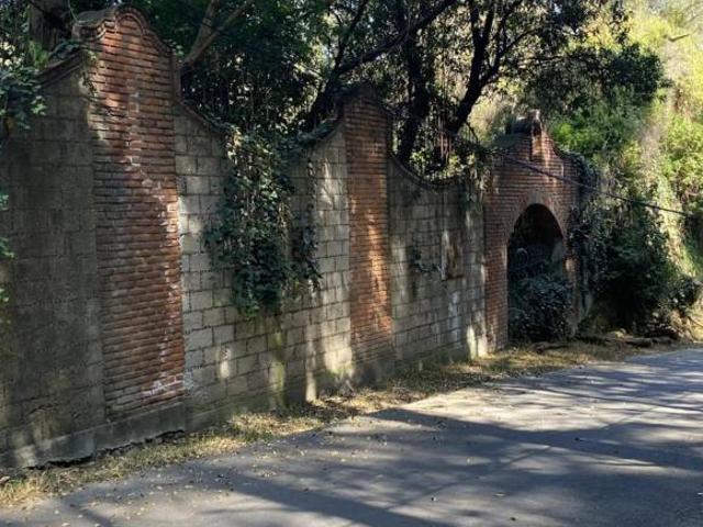 VENTA TERRENO LOMA DE TLAPEXCO