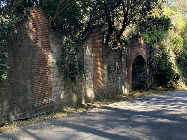 VENTA TERRENO LOMA DE TLAPEXCO