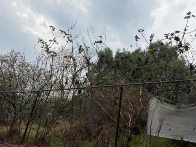VENTA TERRENO LOMAS DE LA HERRADURA