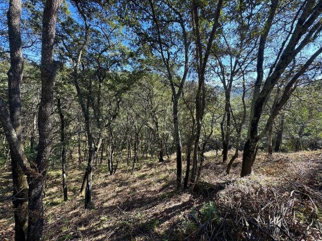 VENTA TERRENO LOTE 70 MZ 6, FRACCIONAMIENTO CAMPESTRE, VILLA DEL CARB?N